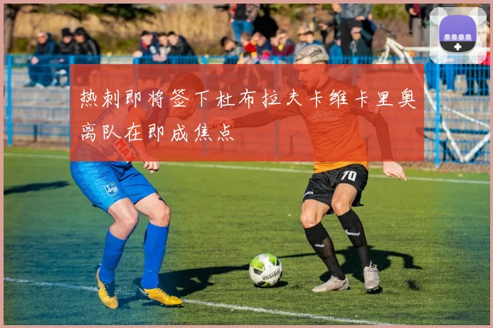 热刺即将签下杜布拉夫卡维卡里奥离队在即成焦点